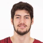 Leon Harun Apaydin