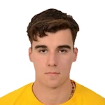 Luka Romic