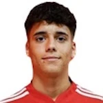 Manuel Lara