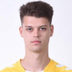 Mihai Cohan