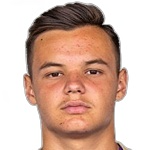 Denis Dizdarevic