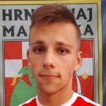 Karlo Grgić