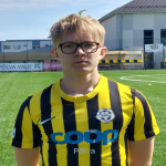 Virmo Vigel