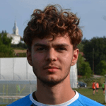 Alexandru Cherman
