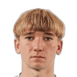 Artem Medvedev