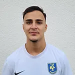 Semir Hadzibulic