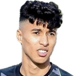 Mohammed Erwa