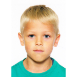 Handro Krünberk