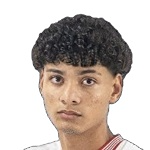 Fabio Mikael Vilela Da Silva Santos