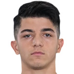 Şahin Dik