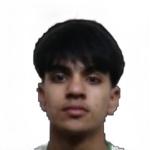 Yan Negrete Hernandez