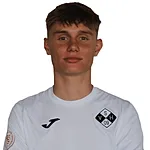 Luka Vrhovec