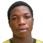 Segun Olafenwa