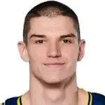 Adin Mandžukić