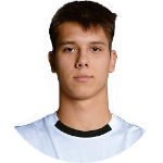 Nikola Vodopija