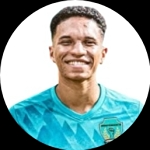 José Henrique Santos Gomes