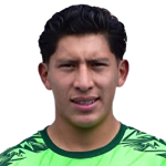 Fabricio Erick Guzman Castro