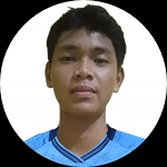 Dheosesa Sayregar