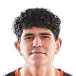 Franco Alippi Silva