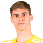 Nikita Parfjonovs