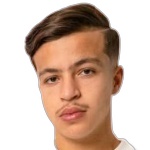 Mehdi Amri