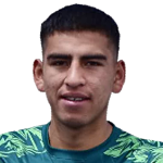 William Arnol Fernandez Mamani