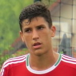 Zoltán Gubacsi