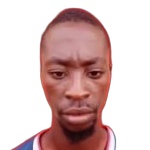 Shogo Ogundipe