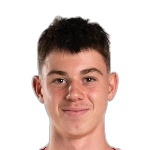 Nik Bartolj