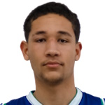 Thaylor dos Santos