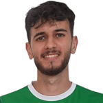 Manolis Vouidaskis