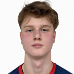 Artem Puzhalin