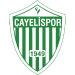 Team
