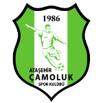 Team