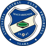 Team
