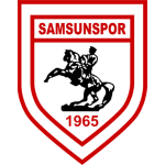Team