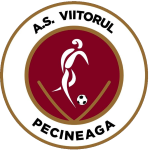 AS Viitorul Pecineaga