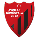 Team