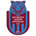 Team