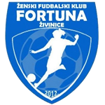 Team