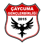 Team
