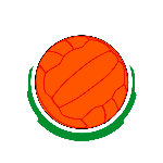 Futebol Clube Laranjeiras
