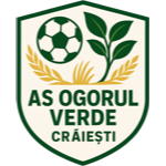 Team