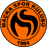Team