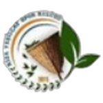 Rize Yeşil Çayspor