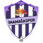 Team