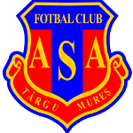 Team