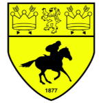 Newmarket Town FC