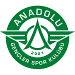 Anadolu Gençlerspor