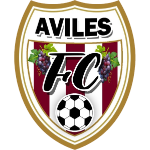Avilés Fútbol Club